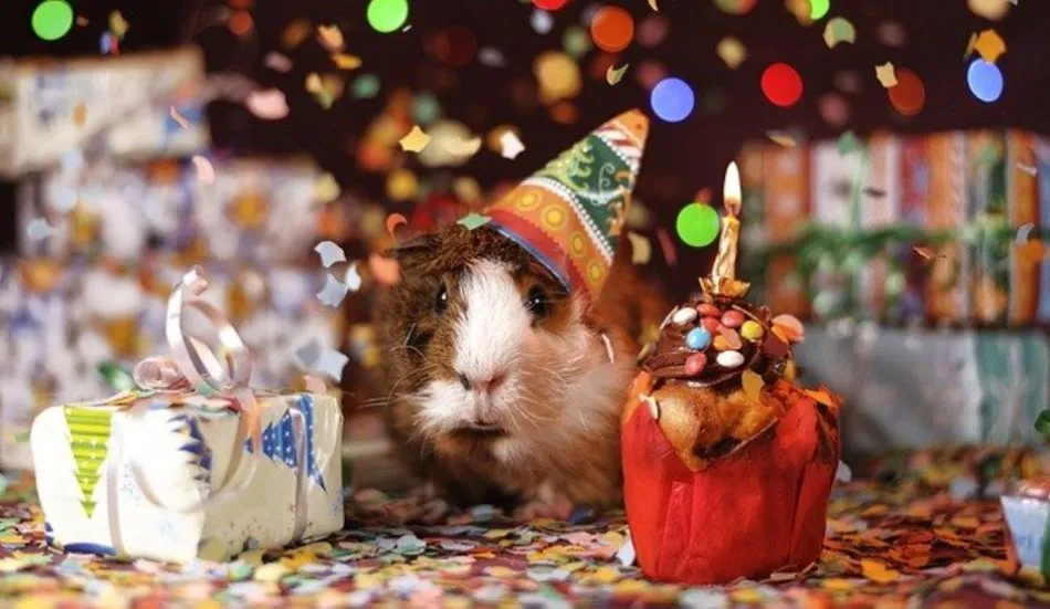 Birthday Gifts for Sister