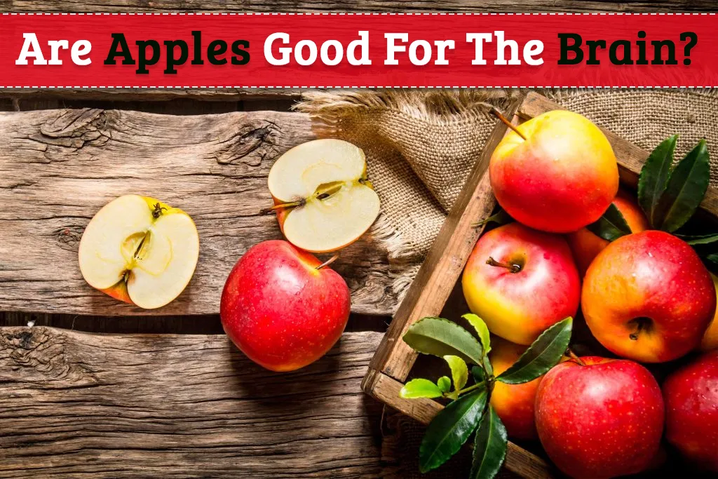 Are Apples Good For The Brain
